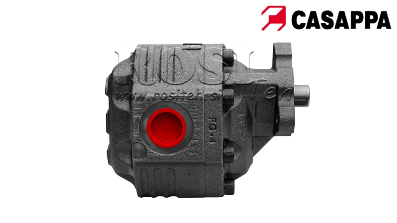 POMPA IDRAULICA IN GHISA REVERSIBILE 100cc CASAPPA