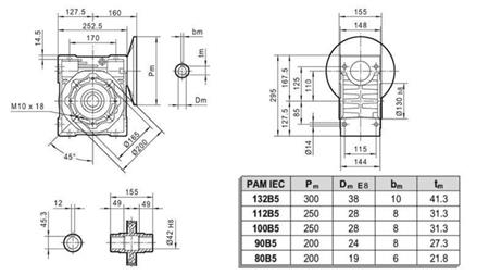 PMRV-110 REDUZIERER FÜR ELEKTROMOTOR MS132 (5.5-7.5kW) VERHÄLTNIS 10:1