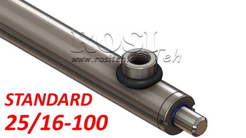 HYDRAULISCHE CYLINDER STANDAARD 25/16-100