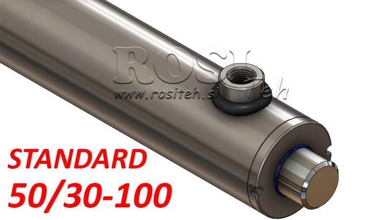 HYDRAULIC CYLINDER STANDARD 50/30-100