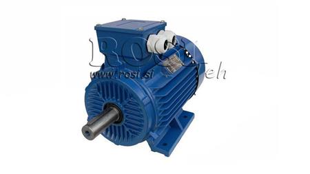 ELEKTRIČNI MOTOR 2P B3 3F noge